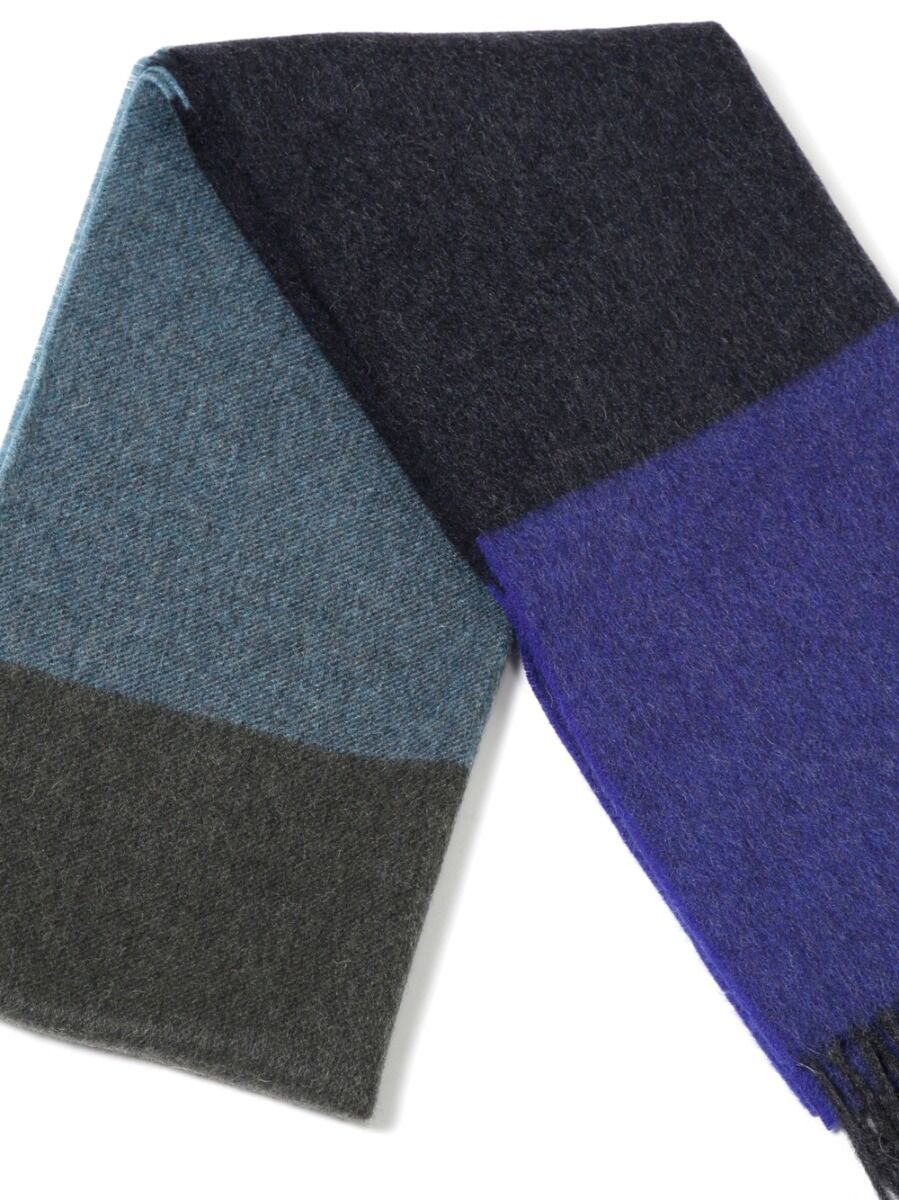 Sciarpa Cashmere Grigia Bluette